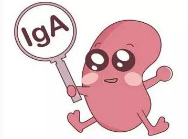IGA腎炎